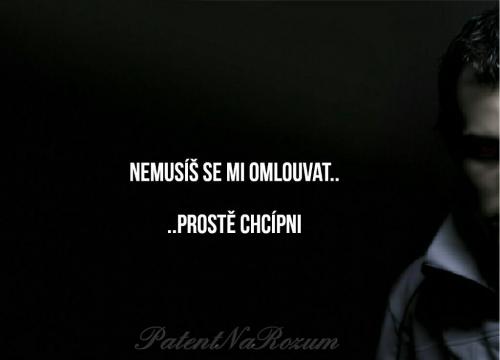Omluvy