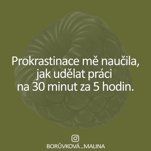  Práce 