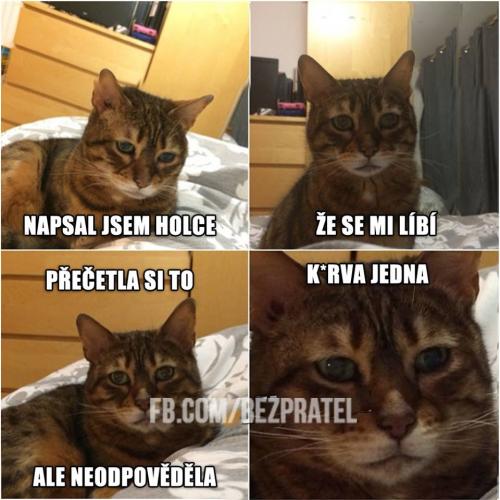Neodpověděla
