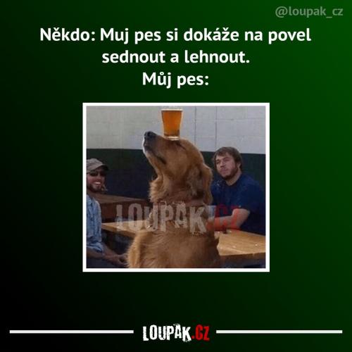  To ještě nic není 