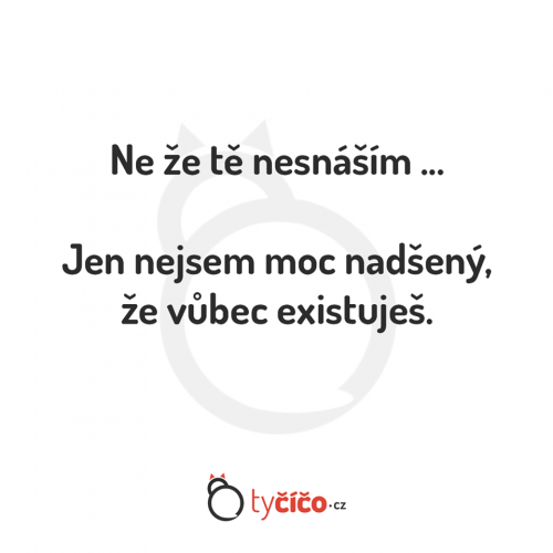 ne že tě nesnáším