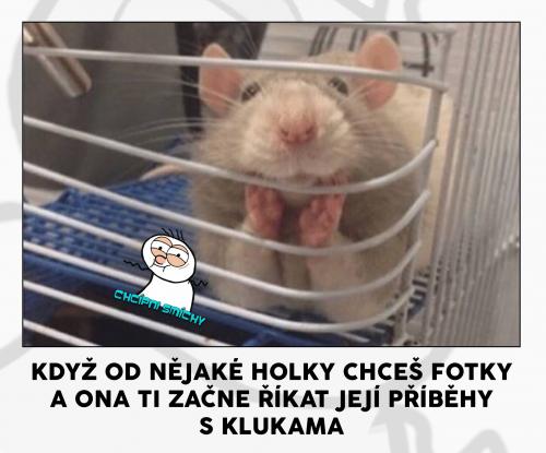  Nějaké holky 