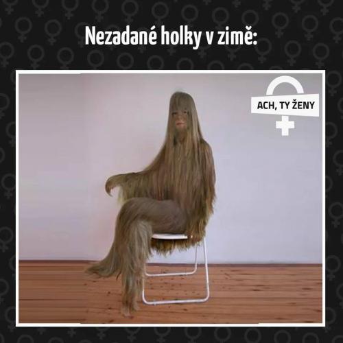  Nezadané holky v zimě 