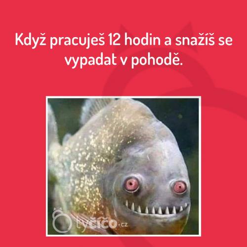  Práce 