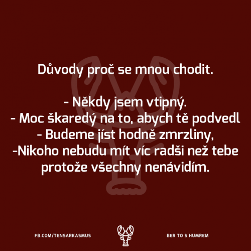  Důvody 