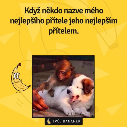  Nejlepší přítel 