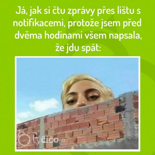  Zpráva 