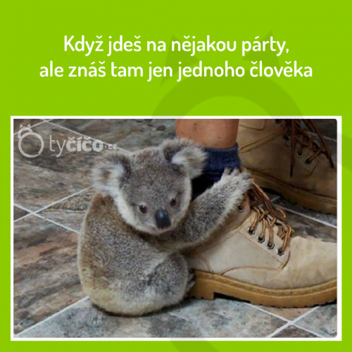  Nějaká party 