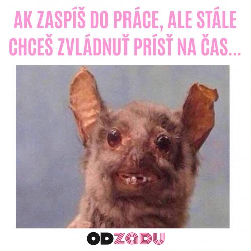  Čas 