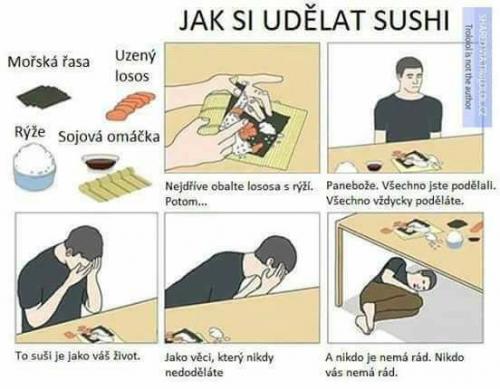  Sushi 