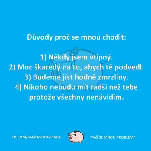  Důvody 