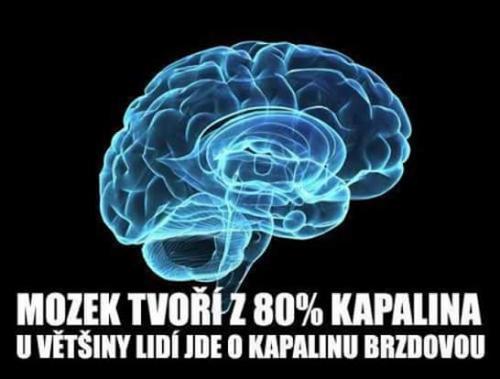  Bohužel 