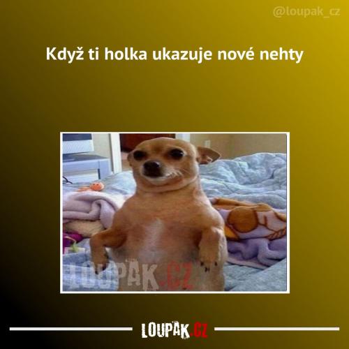  Je to něco perfektního 