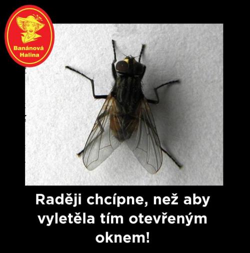  Raději tohle 