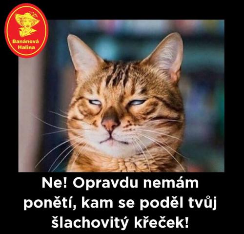Ponětí