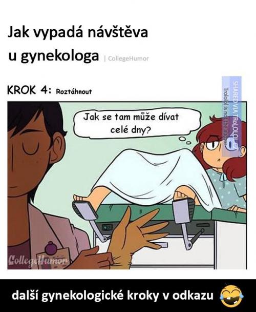  Návštěva 