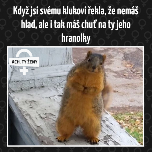 Dáš mi