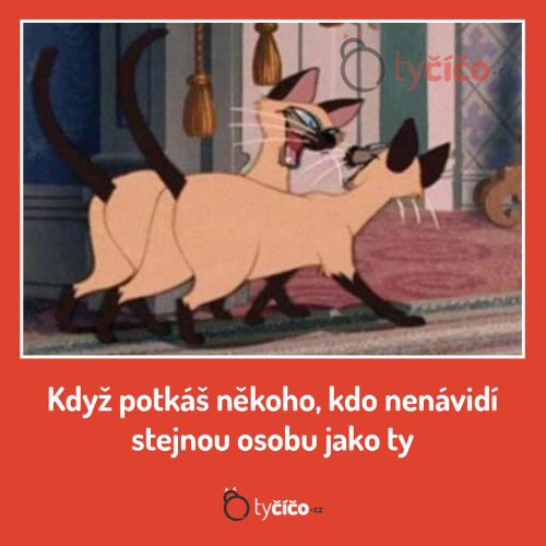  Když potkáš 