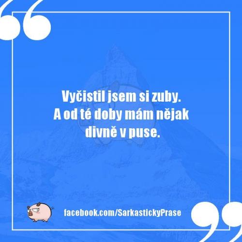  Zuby 