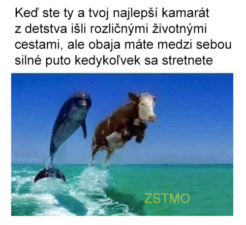 Kamaárd