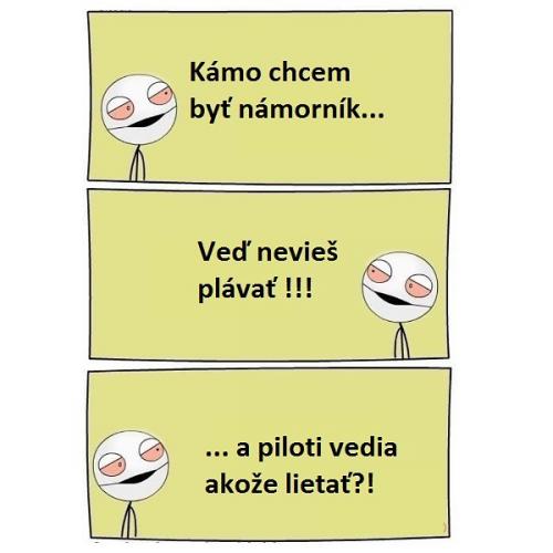  Pilot 