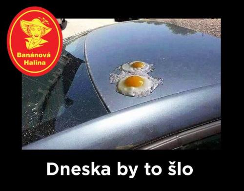  Dneska by to šlo 