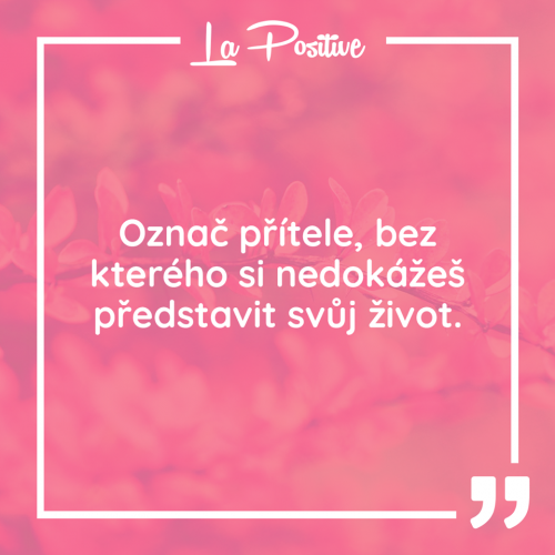  životní přítel 