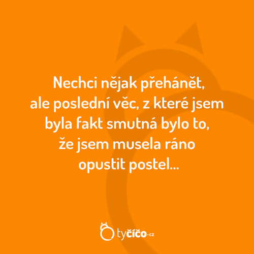 Nechci přehánět