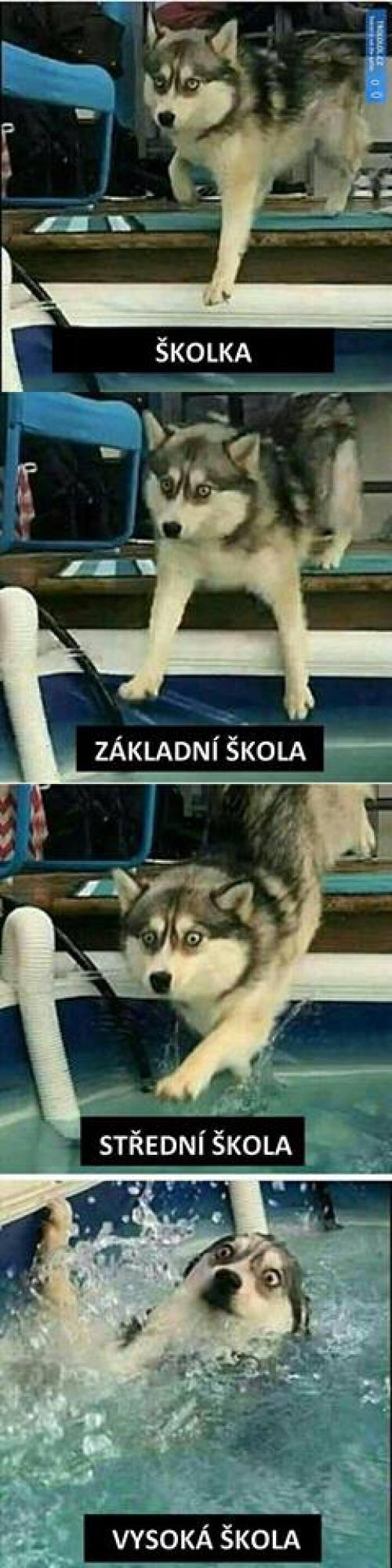  Škola 