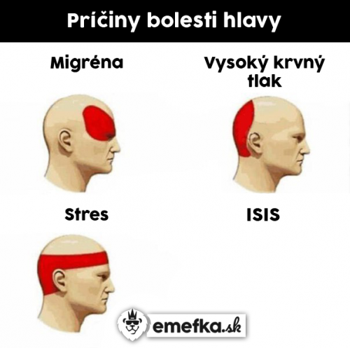  Hlava 