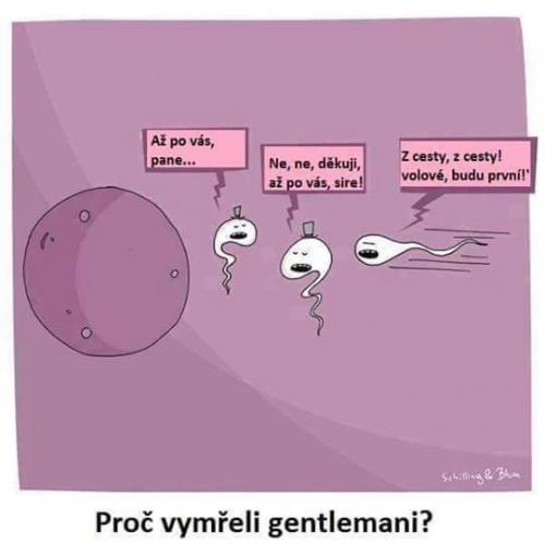  Proč vymřeli 