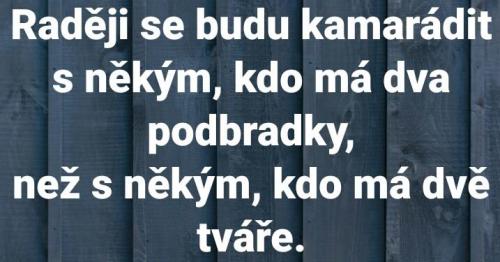 Kamarádit