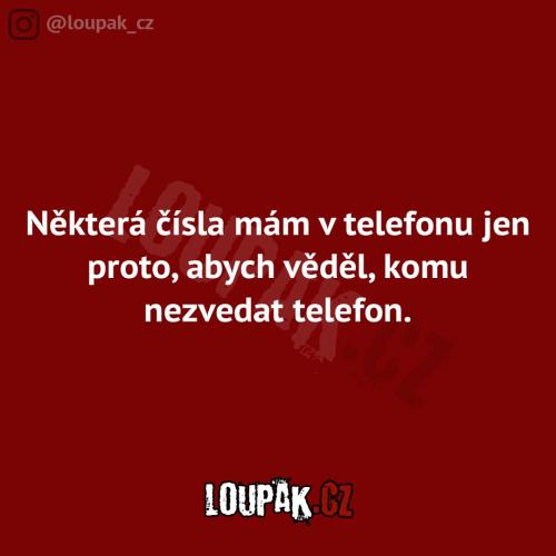  Telefon 