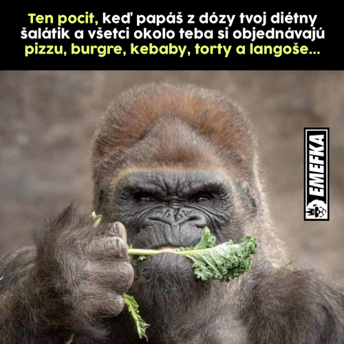 Langoše