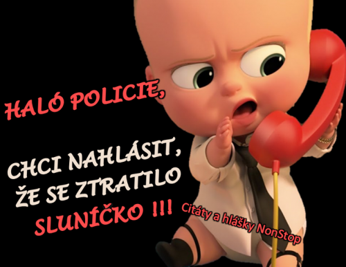  Policie 