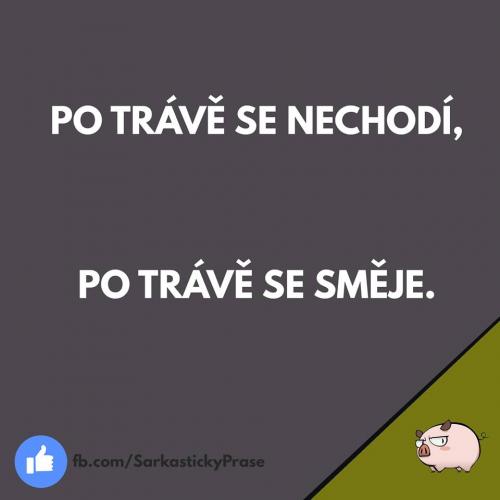 Po trávě