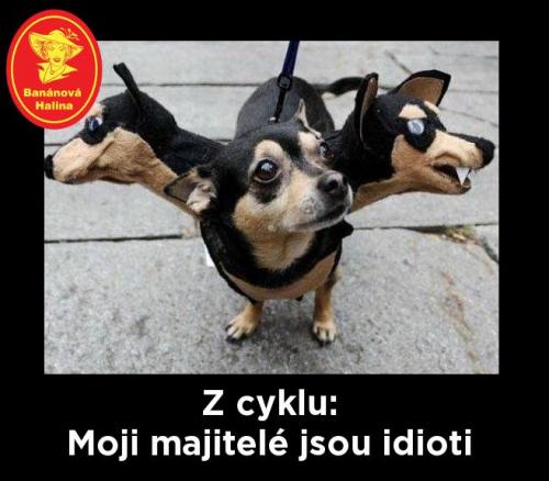 Z cyklu
