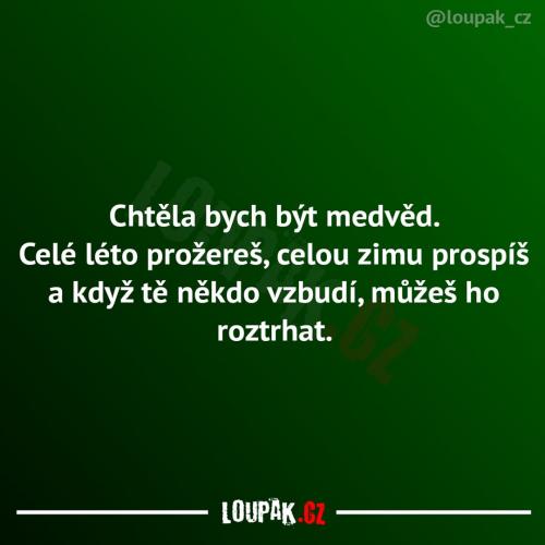  Medvěd 