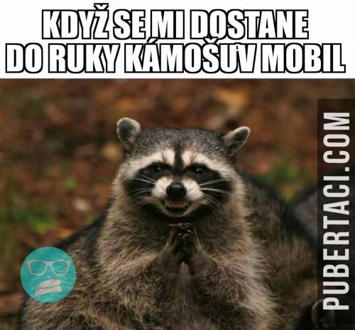  Kámošův telefon 