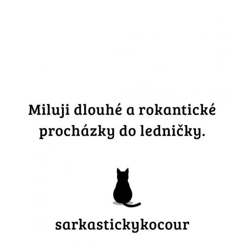  Procházka 