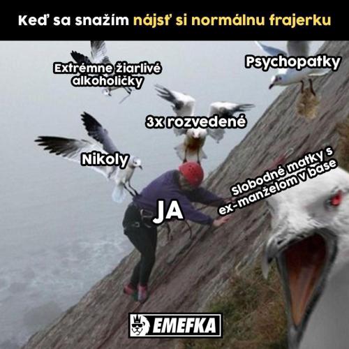  Normální holka 