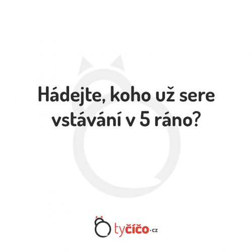 Hádej