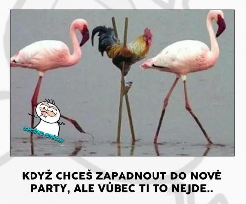  Nové party 