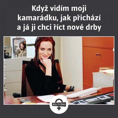 Drby