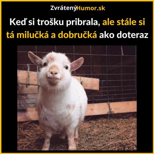  Když přibral 