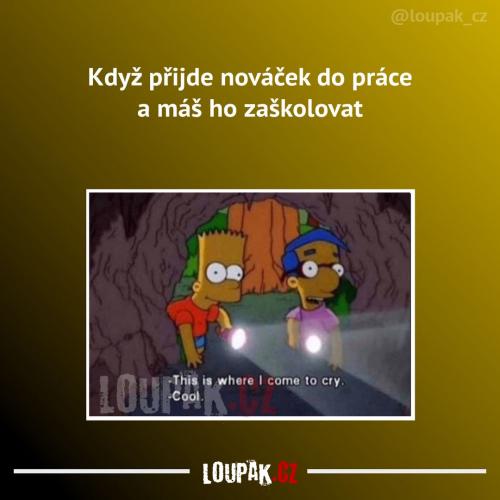  Pořádné proškolení je potřeba 