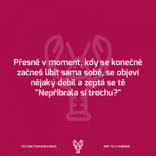 Momentekjk
