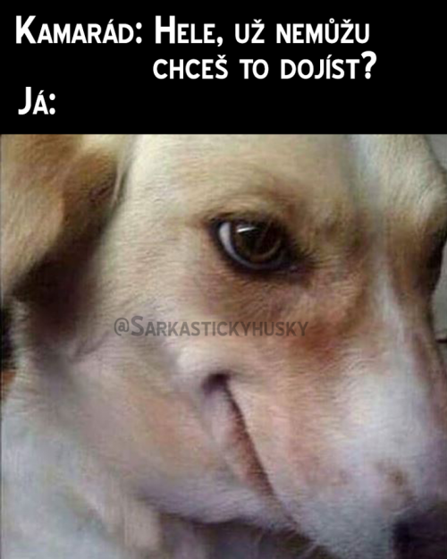 Označ nějakého nenažrance