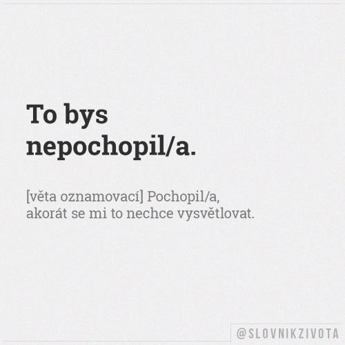 To bys nepochopil
