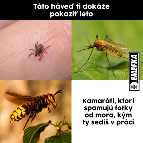  Havěť 